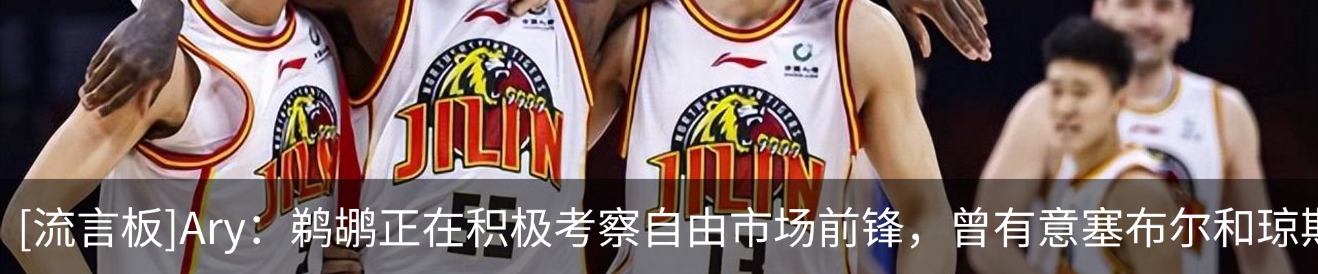 最新动态